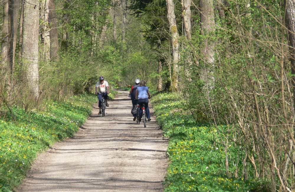 Donauradwandern